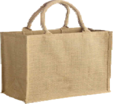 Shopping Bag